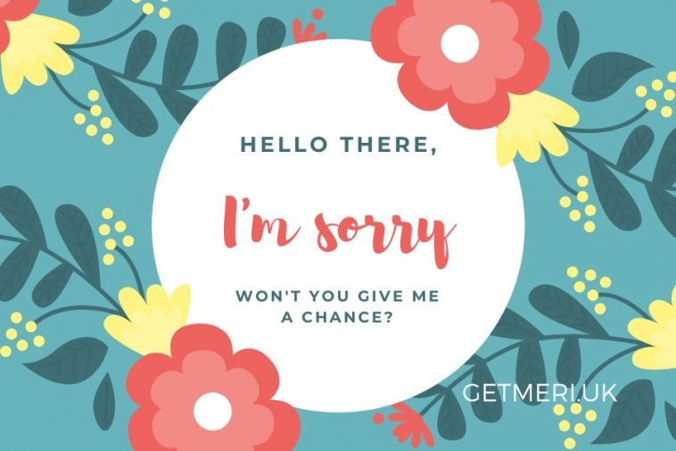 I Am Sorry Messages for Girlfriend